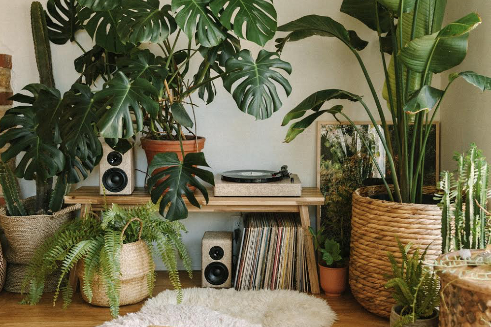 5 Modern Design Ideas to Spice Up Your Home