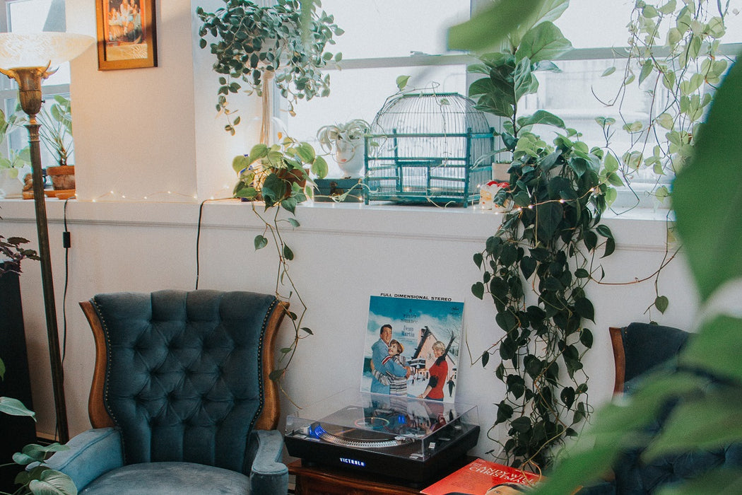 Top 10 International Female Artists