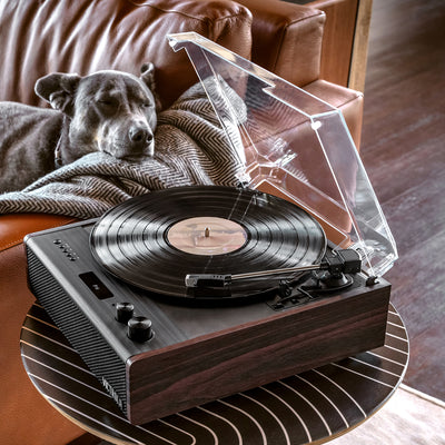 Vinyl 101: A Guide to Vinyl Terminology