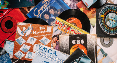 Staff Picks: November 2021