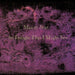 Mazzy Star: So Tonight That I Might See