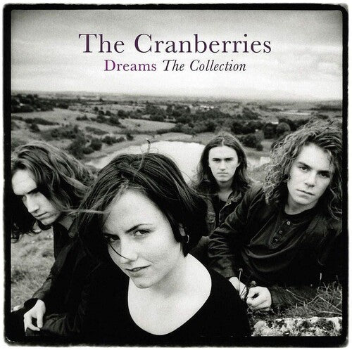 LP Cranberries Dreams: The Collection 5389805 UMC 未開封 /00260 The Cranberries – Dreams: The Collection - LP – Sky Valley Records