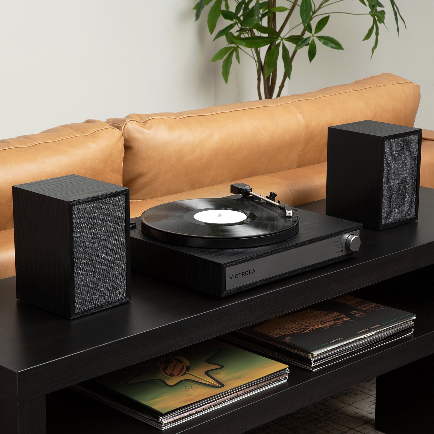Harmony Turntable System