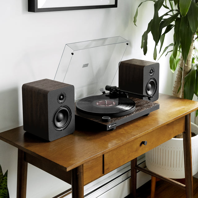 Premiere T1 Turntable System Image 2